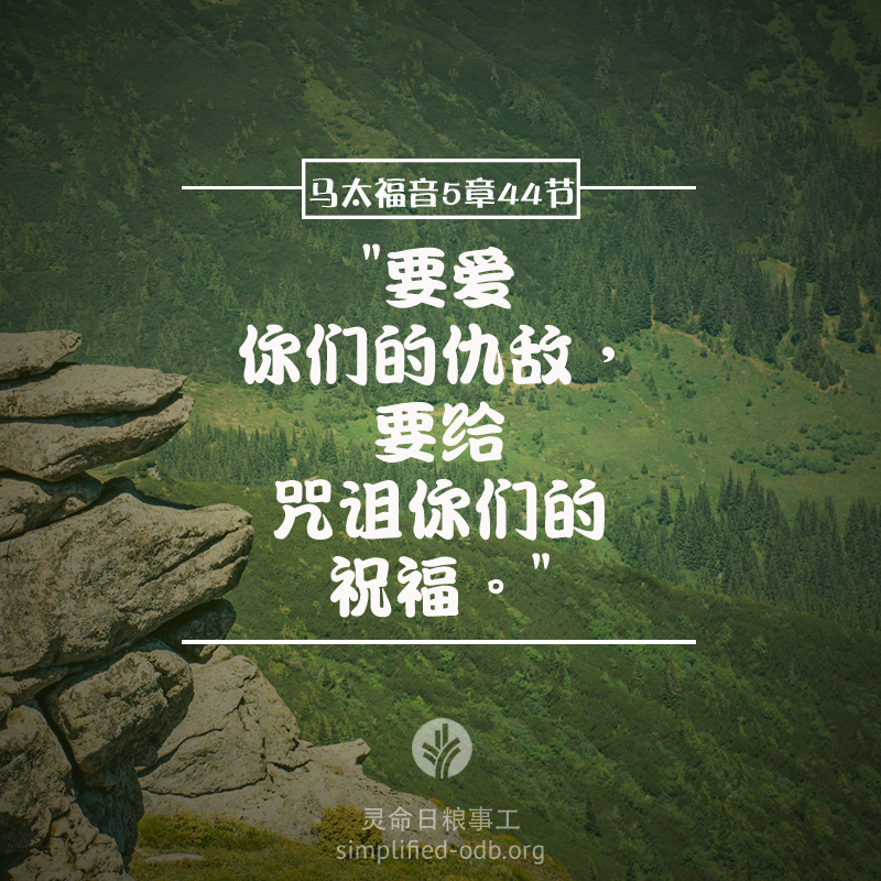 要爱你们的仇敌,要给咒诅你们的祝福 要爱你们的仇敌,要给咒诅你们的祝福