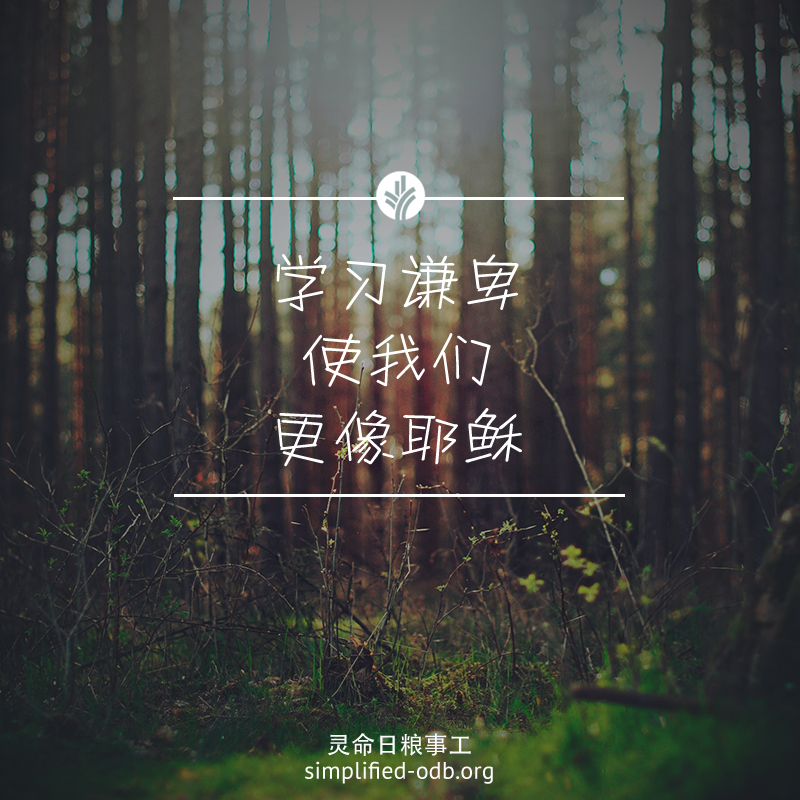 学习谦卑使我们更像耶稣 学习谦卑使我们更像耶稣