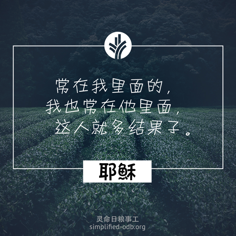 常在我里面的,我也常在他里面,这人就多结果子 常在我里面的,我也常在他里面,这人就多结果子