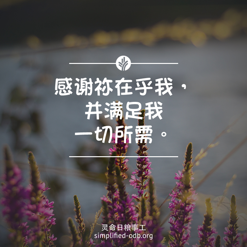 感谢祢在乎我，并满足我一切所需