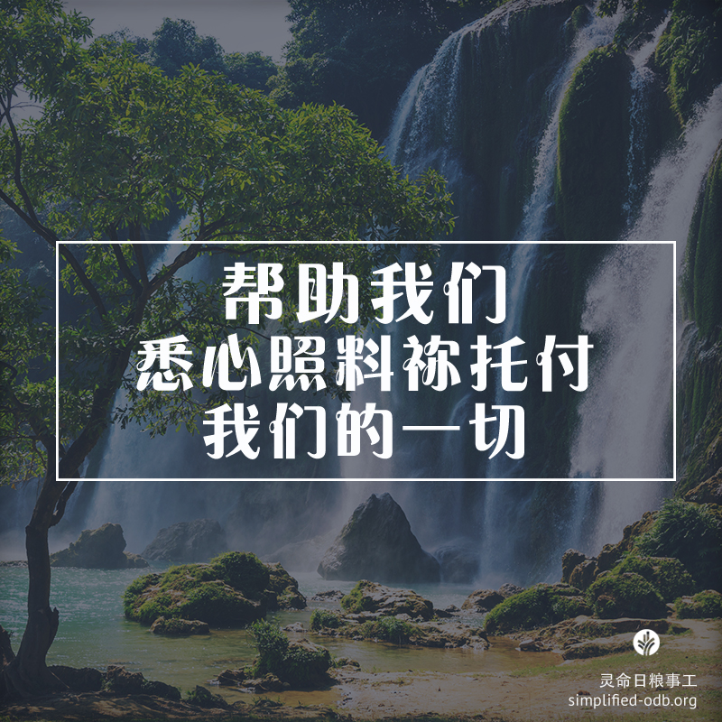 帮助我们悉心照顾你托付我们的一切