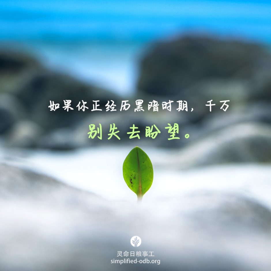 2021-11-19今日图片分享 2021-11-19今日图片分享
