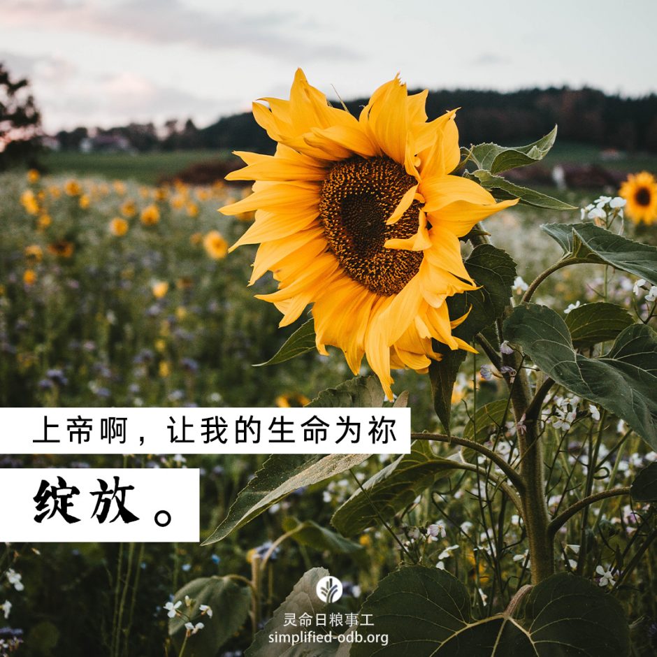 2022-05-09今日图片分享 2022-05-09今日图片分享