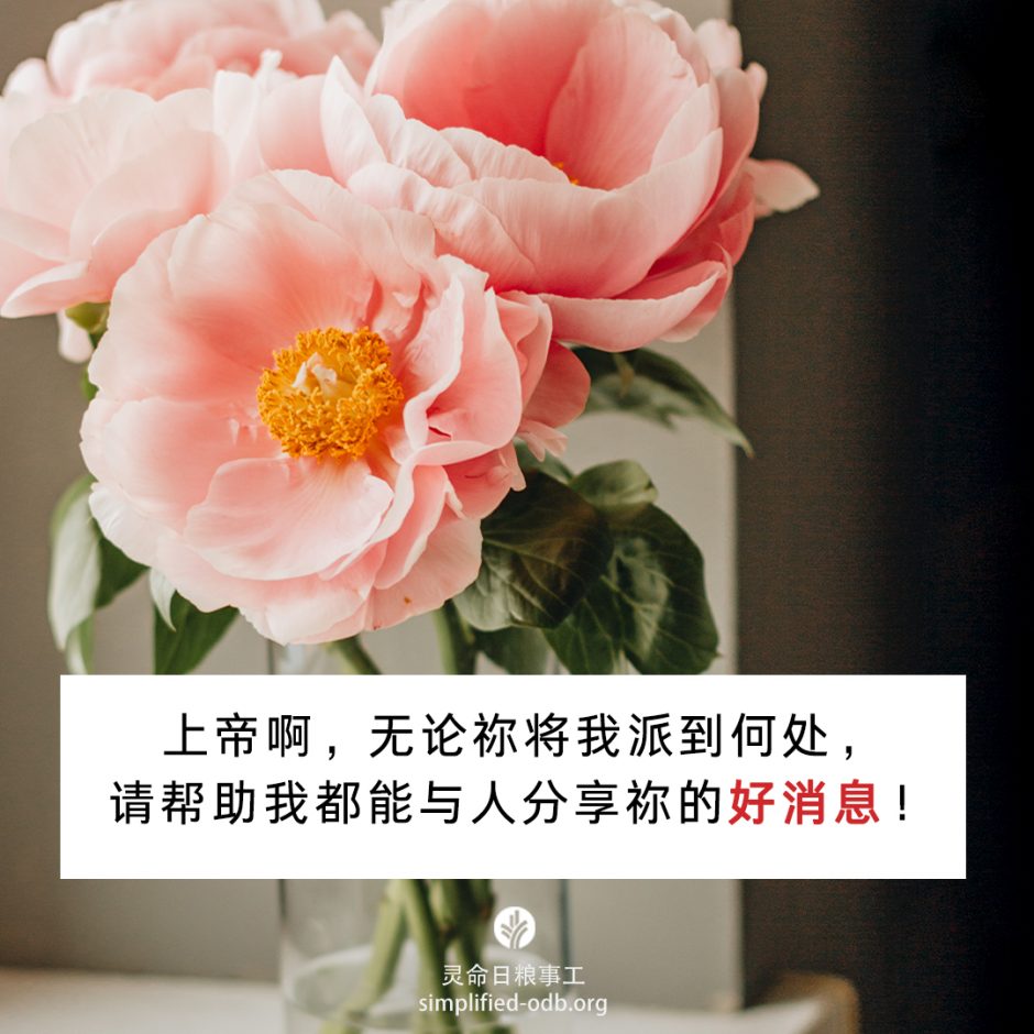 2022-05-11今日图片分享 2022-05-11今日图片分享