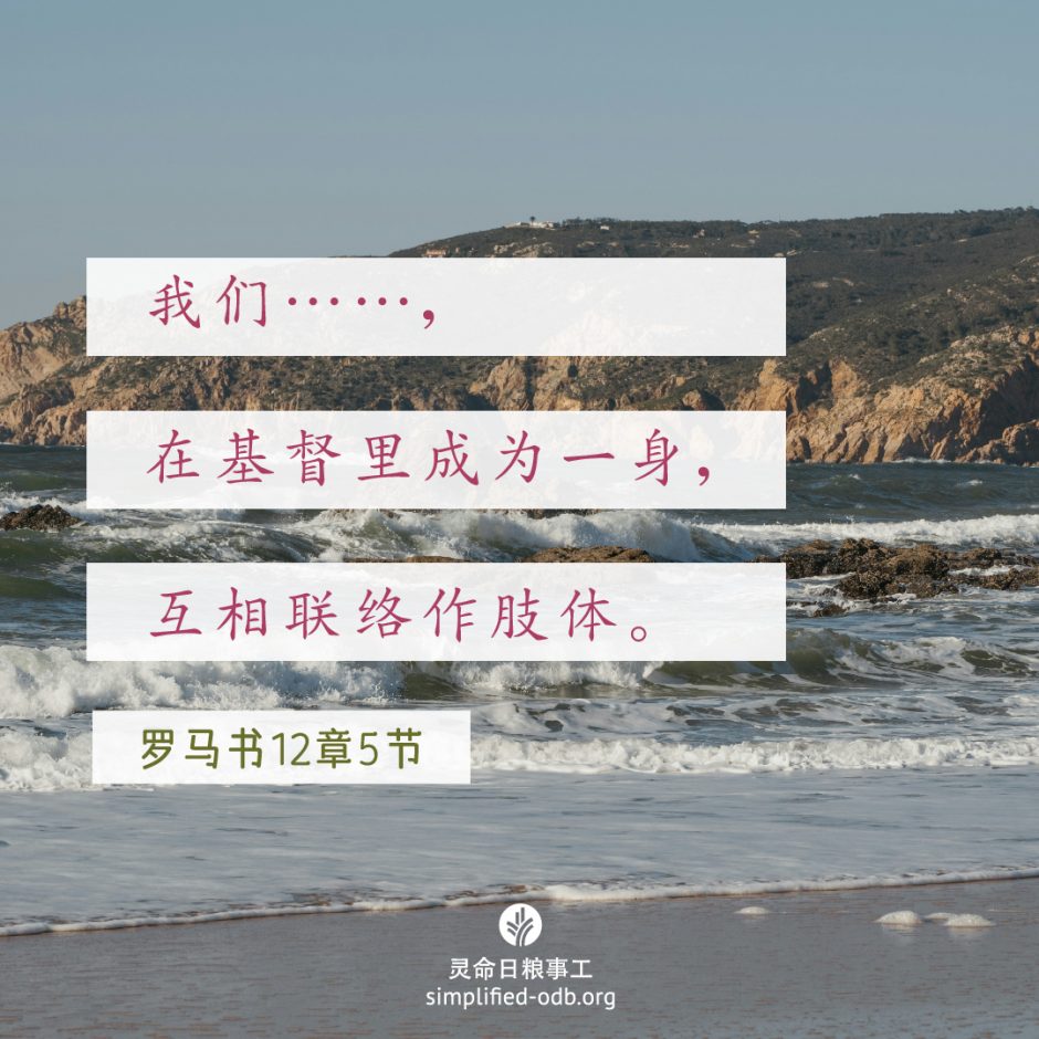 2024-09-24今日图片分享