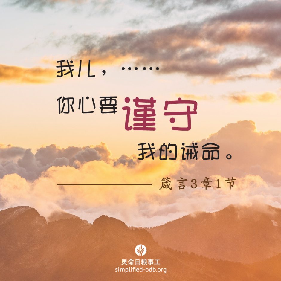 2024-09-25今日图片分享