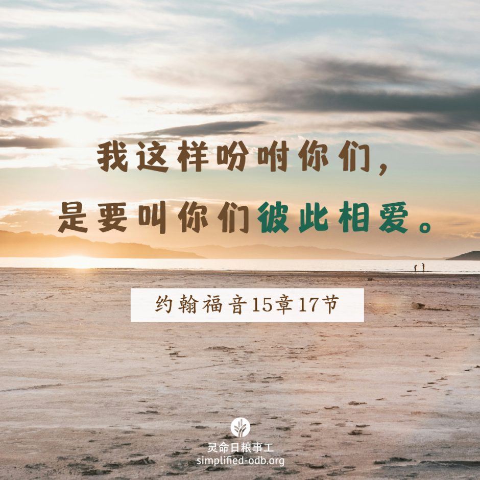 2024-09-26今日图片分享