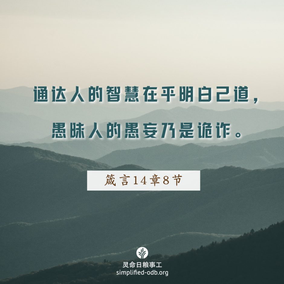 2024-09-27今日图片分享