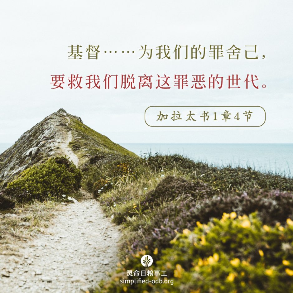 2024-09-28今日图片分享