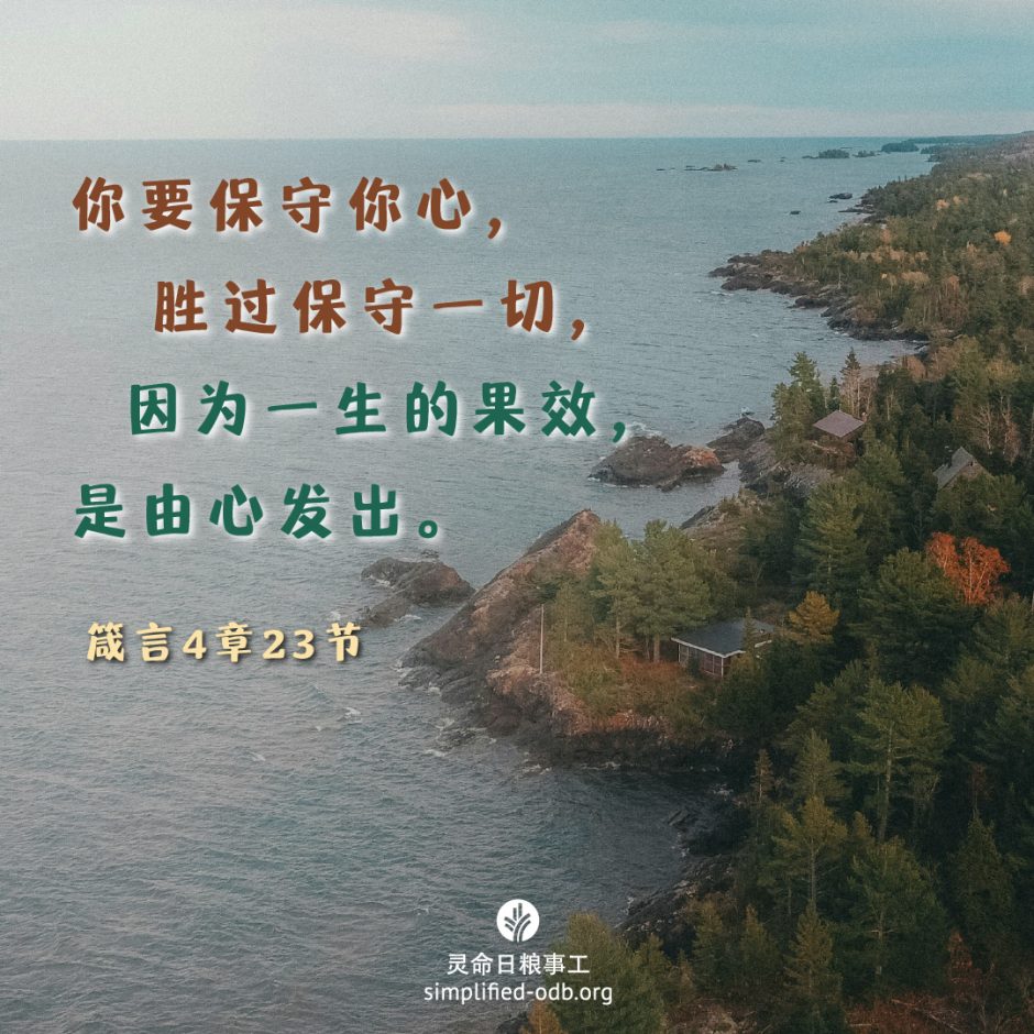 2024-09-29今日图片分享