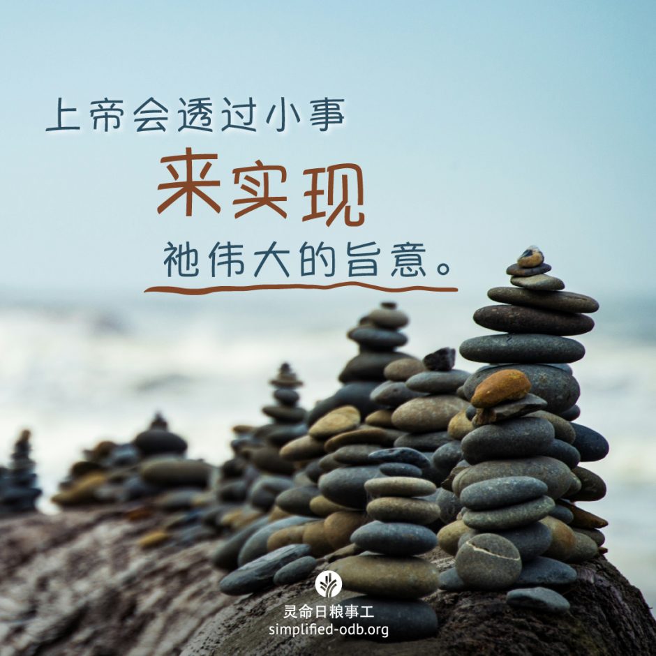 2024-09-30今日图片分享