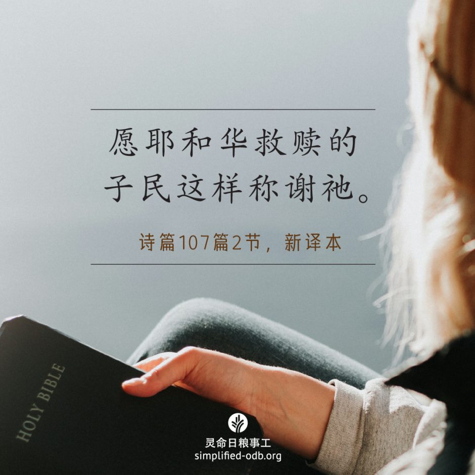 2024-10-05今日图片分享