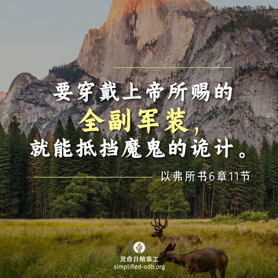 2024-10-01今日图片分享