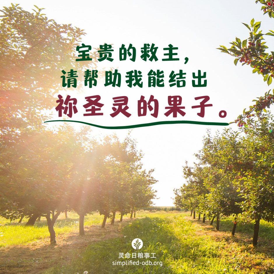 2024-10-02今日图片分享