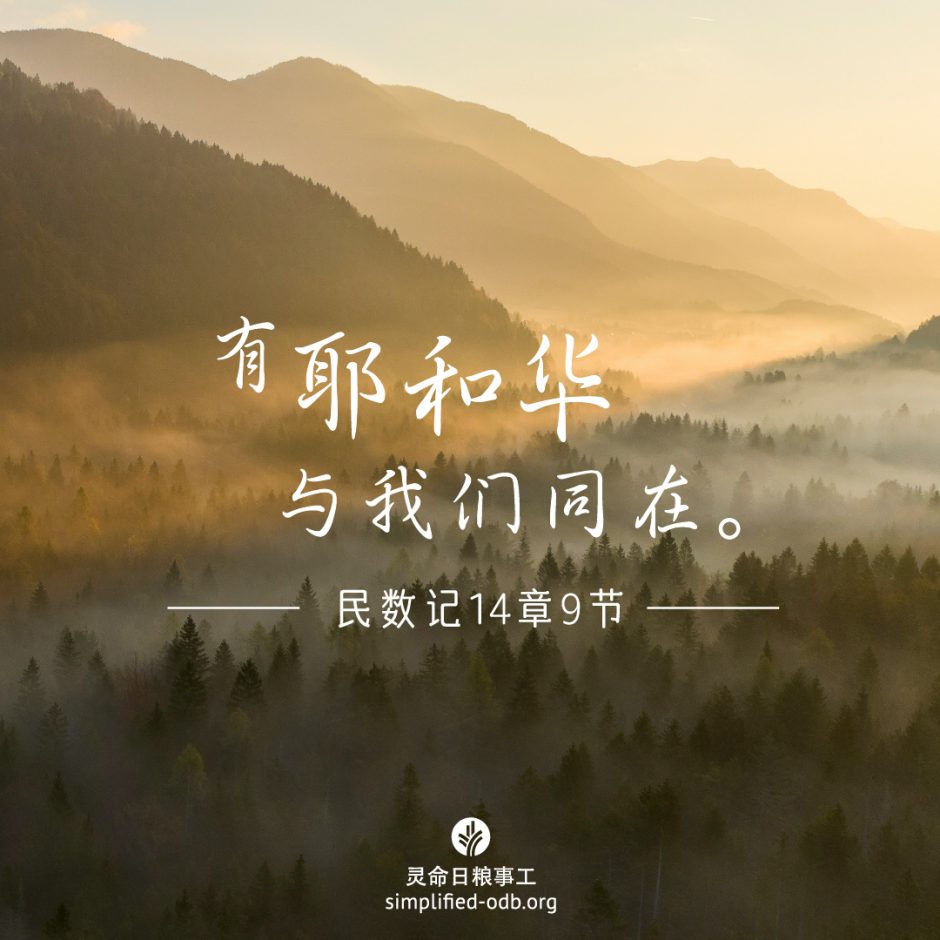 2024-10-03今日图片分享