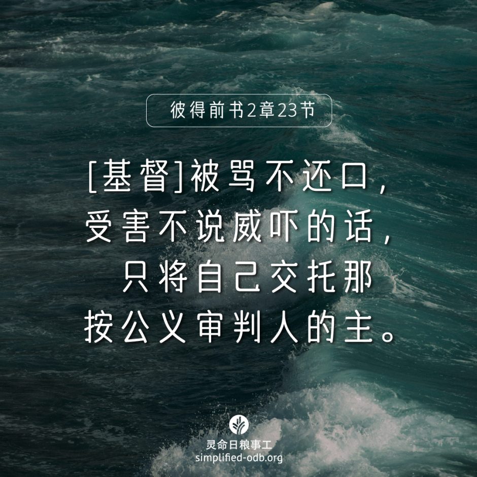 2024-10-04今日图片分享