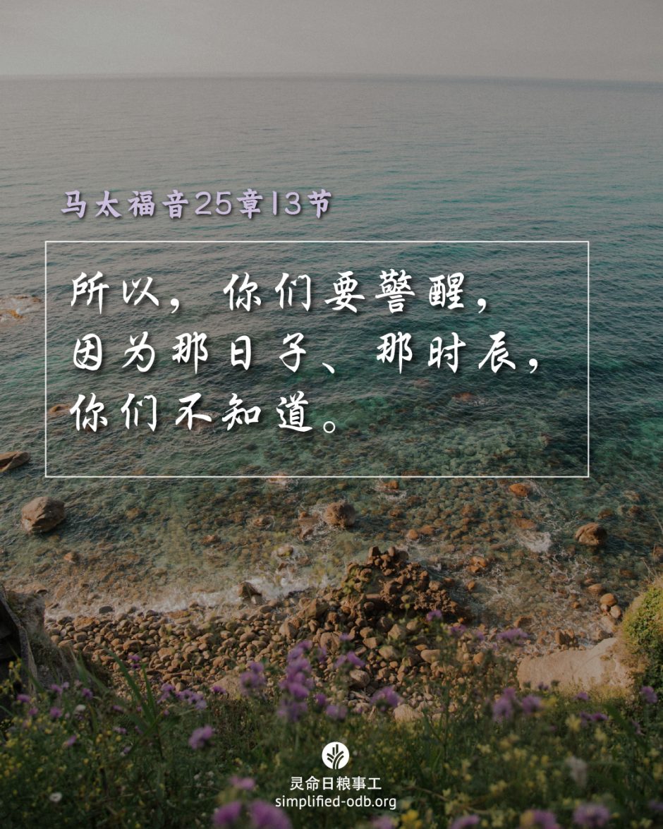 2025-07-05今日图片分享