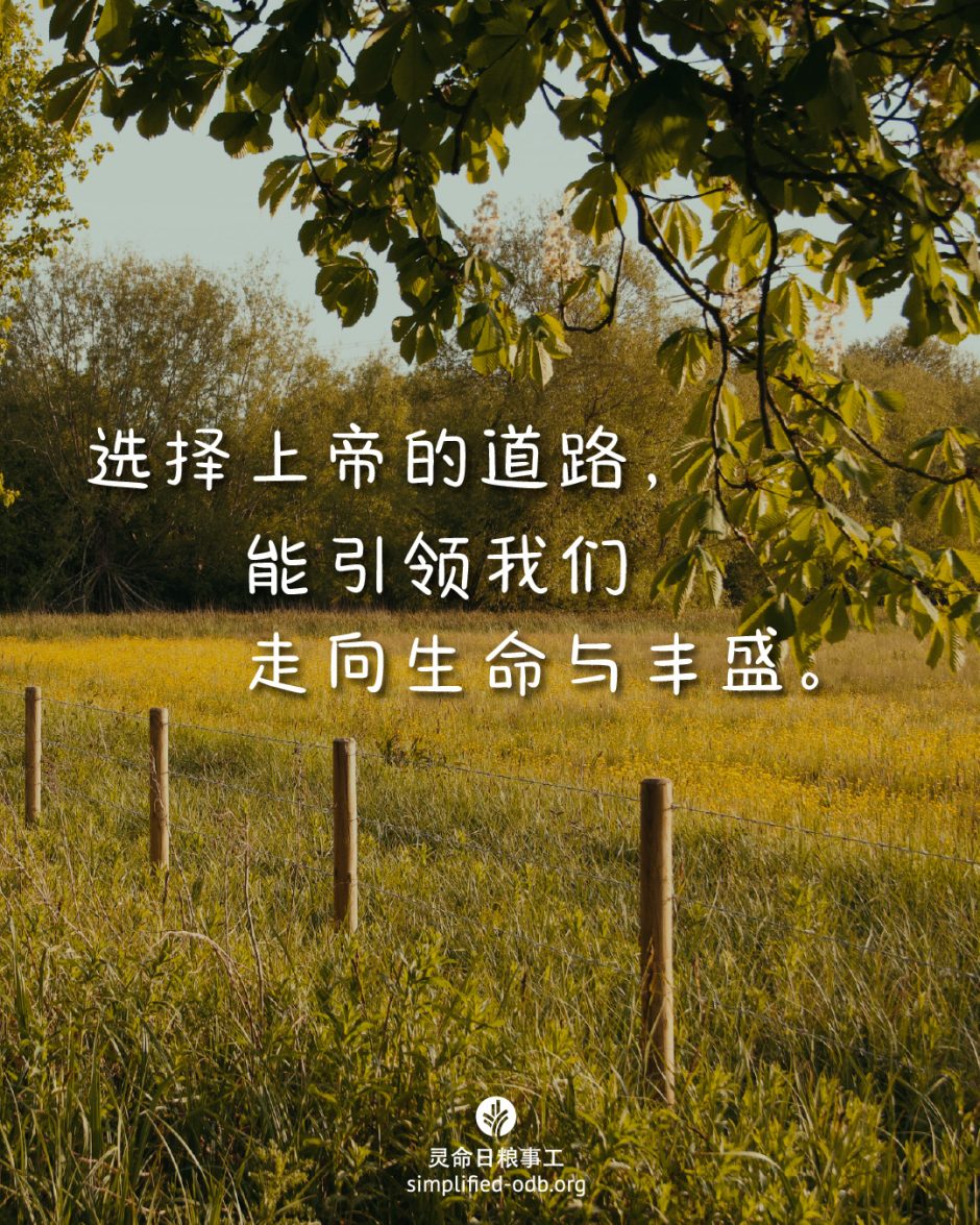 2025-07-06今日图片分享