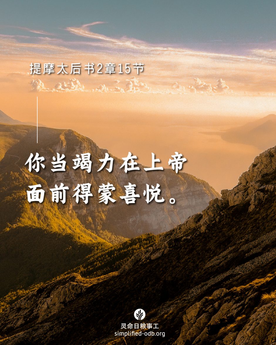 2025-07-07今日图片分享