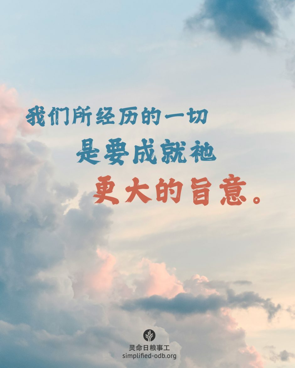 2025-07-08今日图片分享