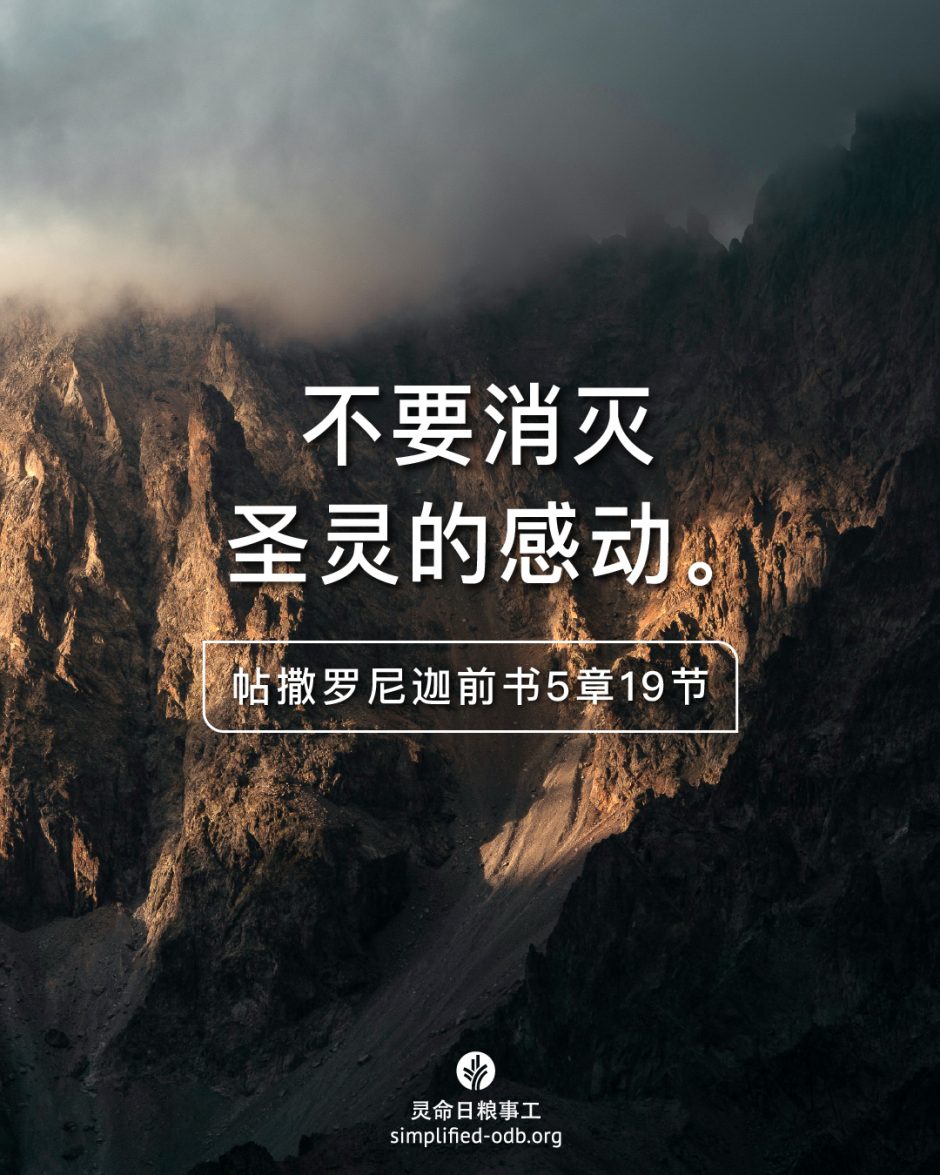 2025-07-09今日图片分享