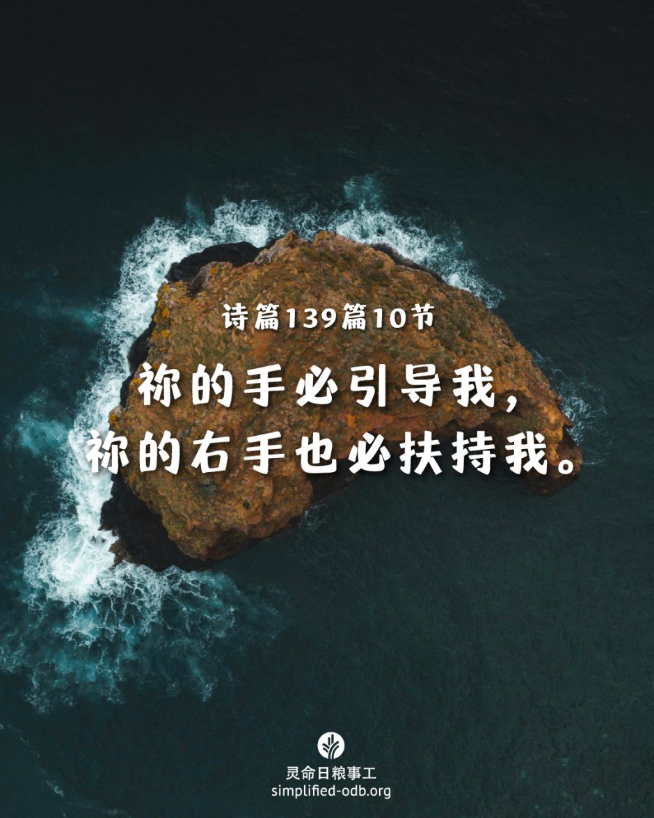 2025-07-10今日图片分享