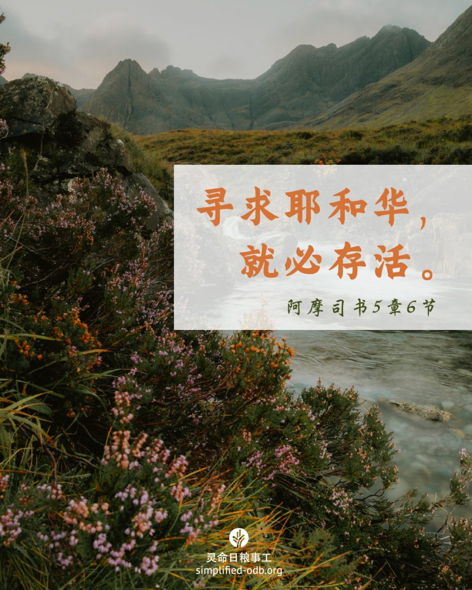 2025-07-11今日图片分享