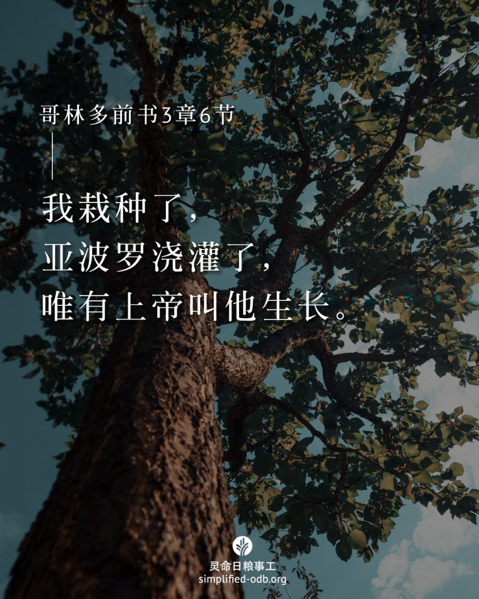 2025-07-12今日图片分享