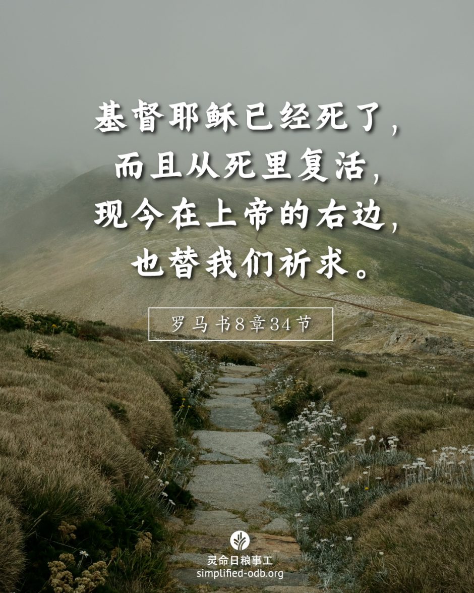 2025-07-15今日图片分享