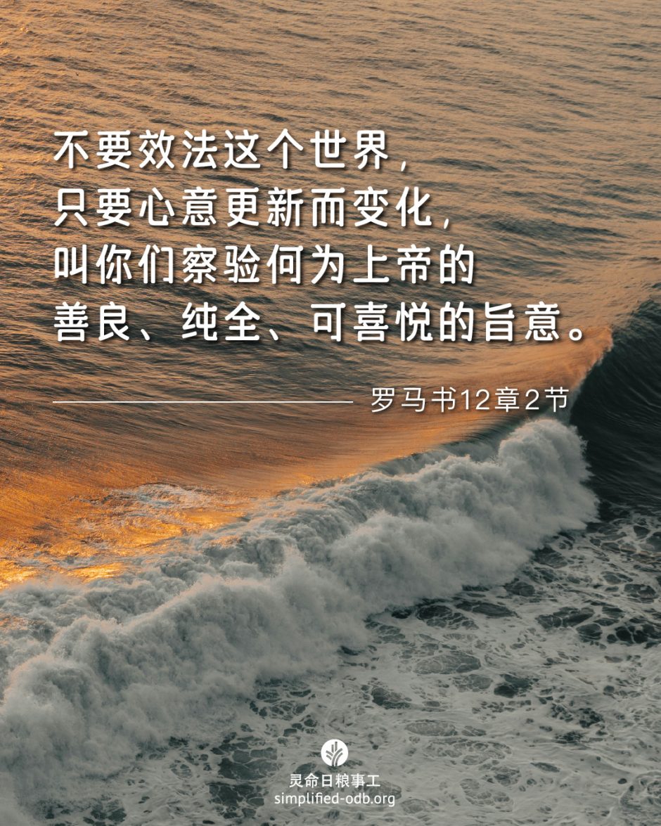 2025-07-16今日图片分享