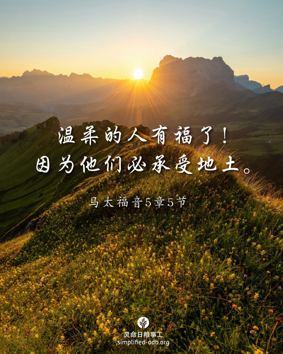 2025-08-01今日图片分享 2025-08-01今日图片分享