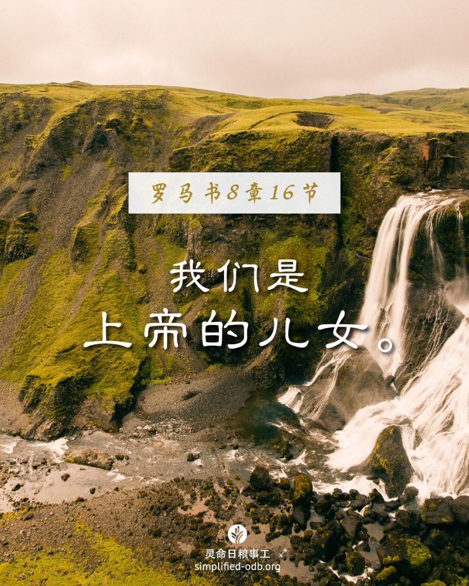 2025-08-02今日图片分享 2025-08-02今日图片分享