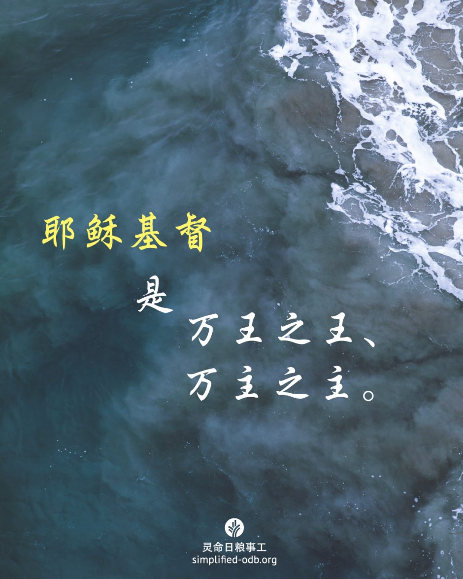 2025-09-22今日图片分享