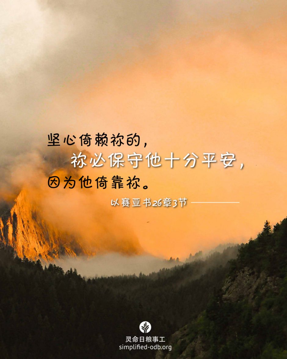 2026-01-31今日图片分享