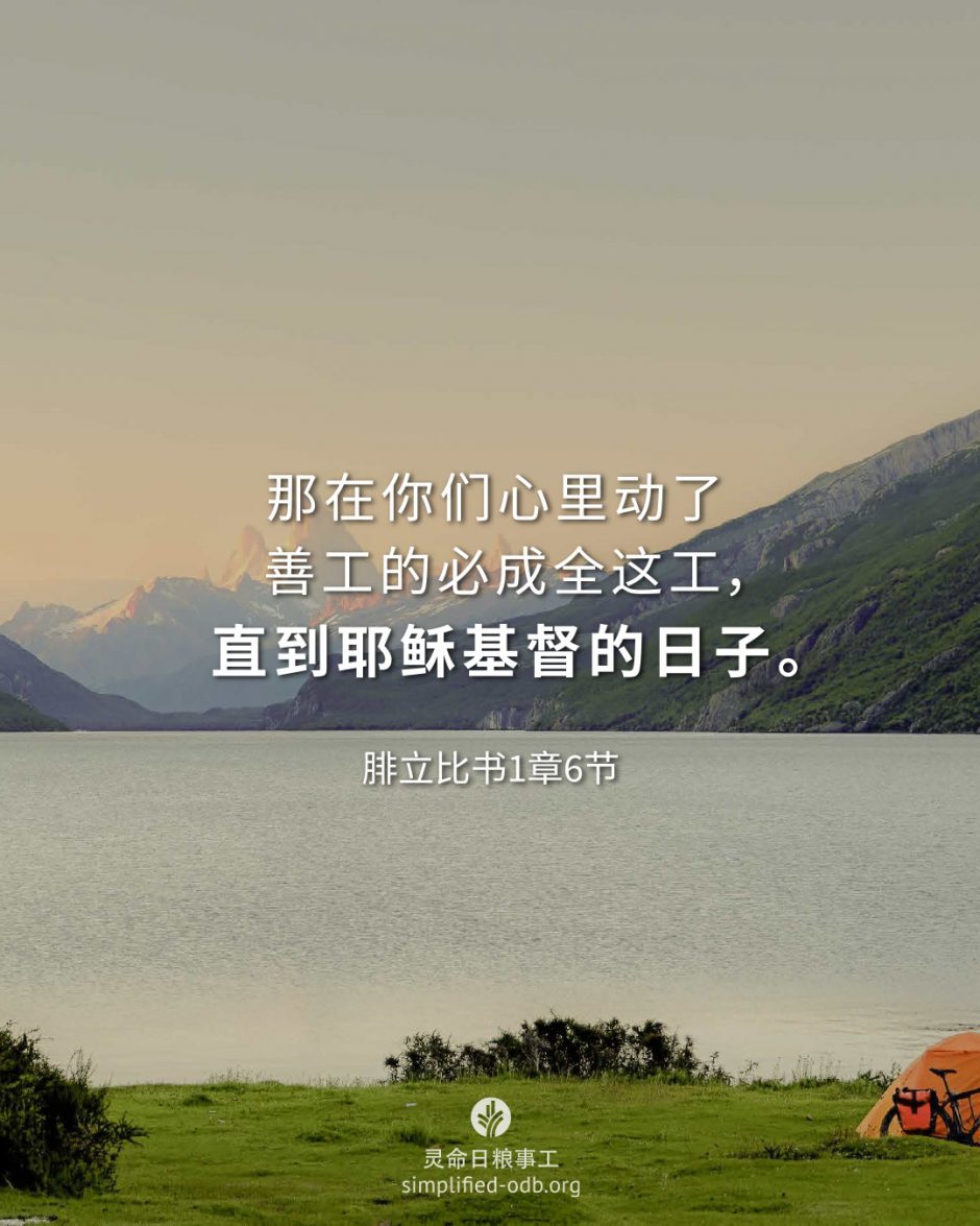 2026-02-01今日图片分享