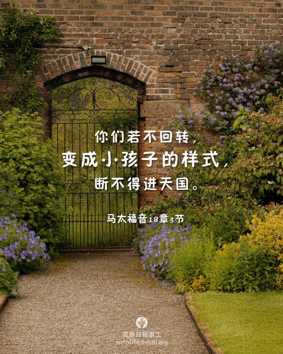 2026-02-02今日图片分享