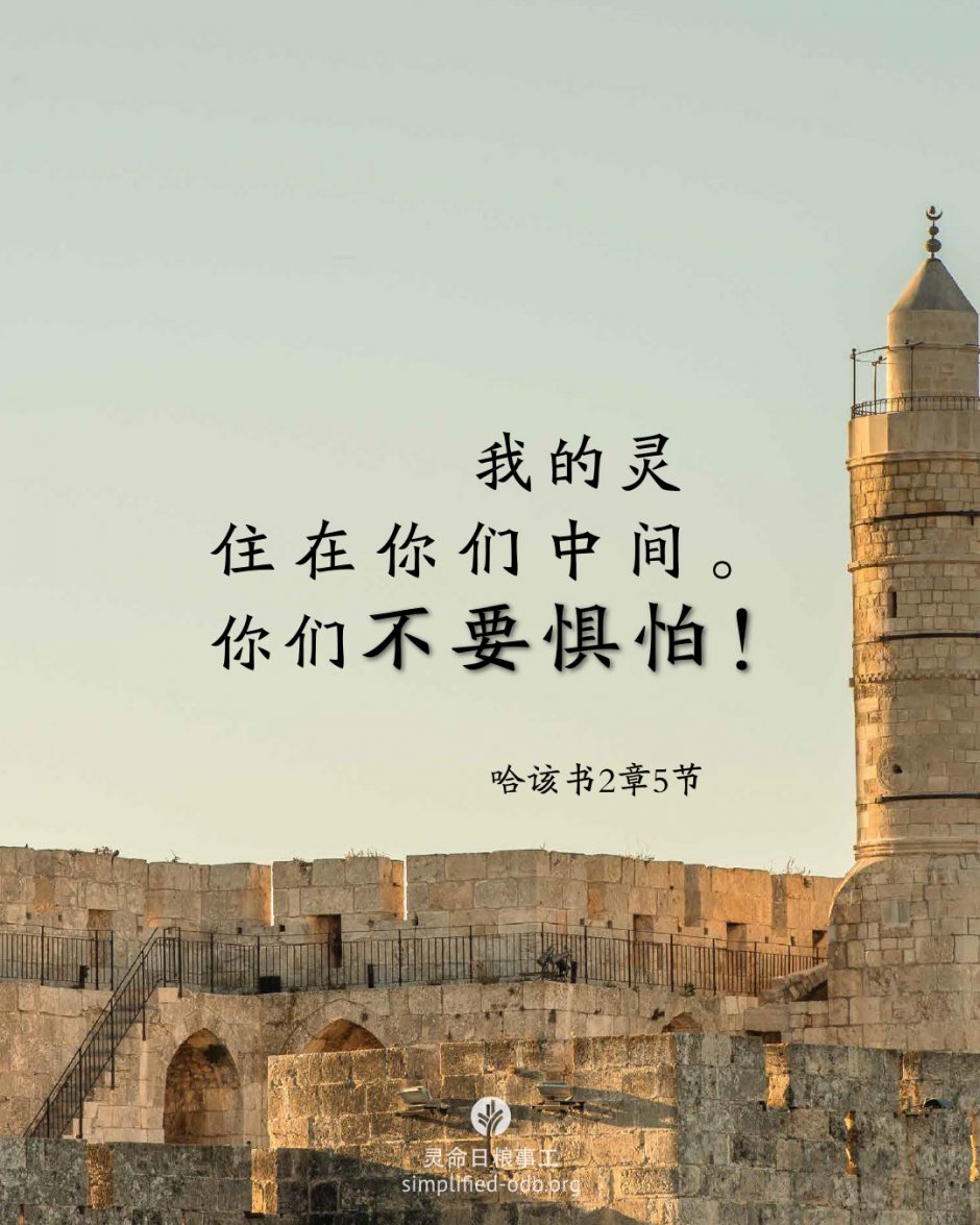 2026-02-03今日图片分享