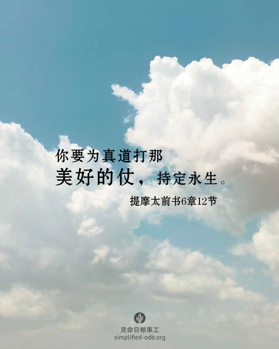 2026-02-04今日图片分享