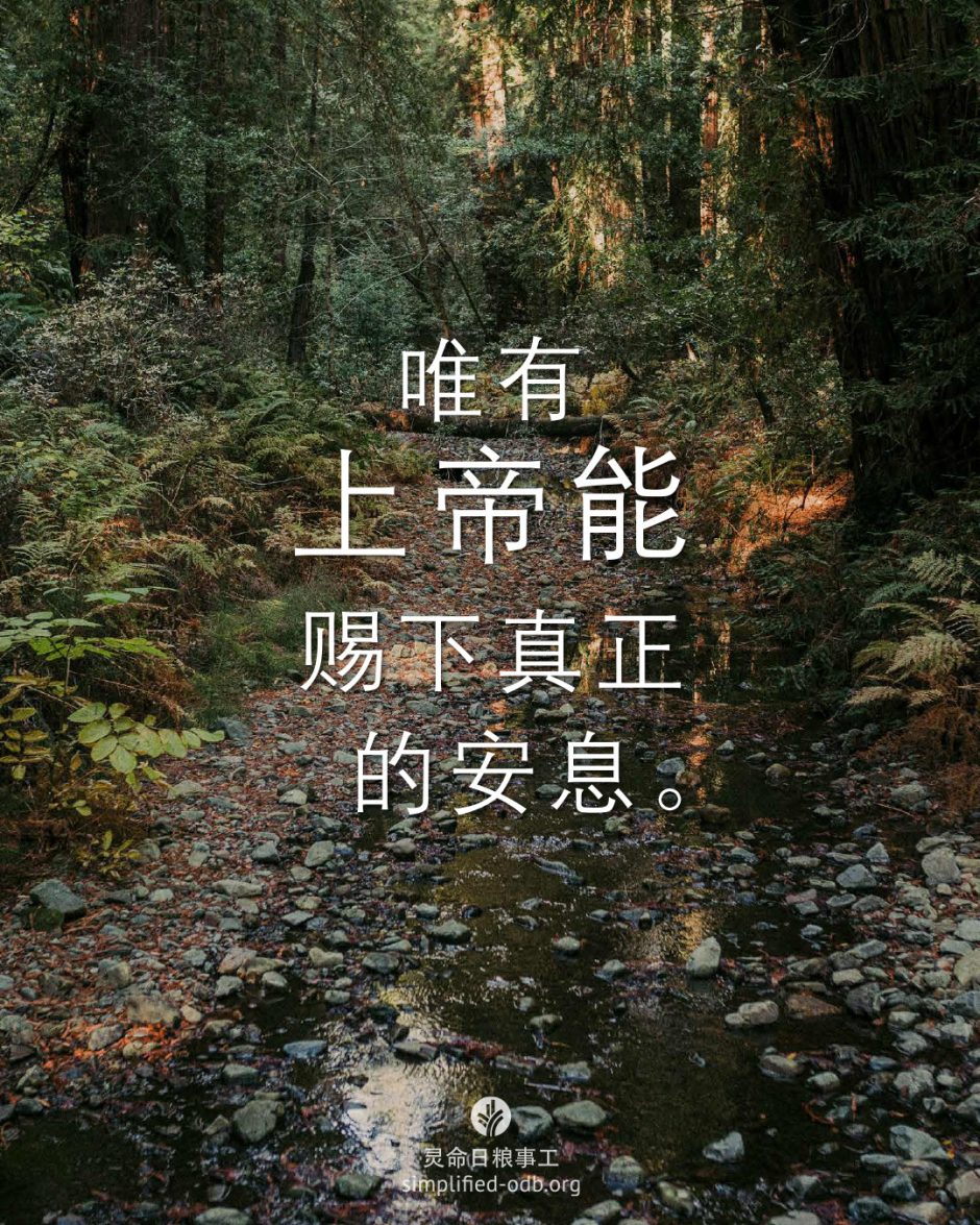 2026-02-05今日图片分享