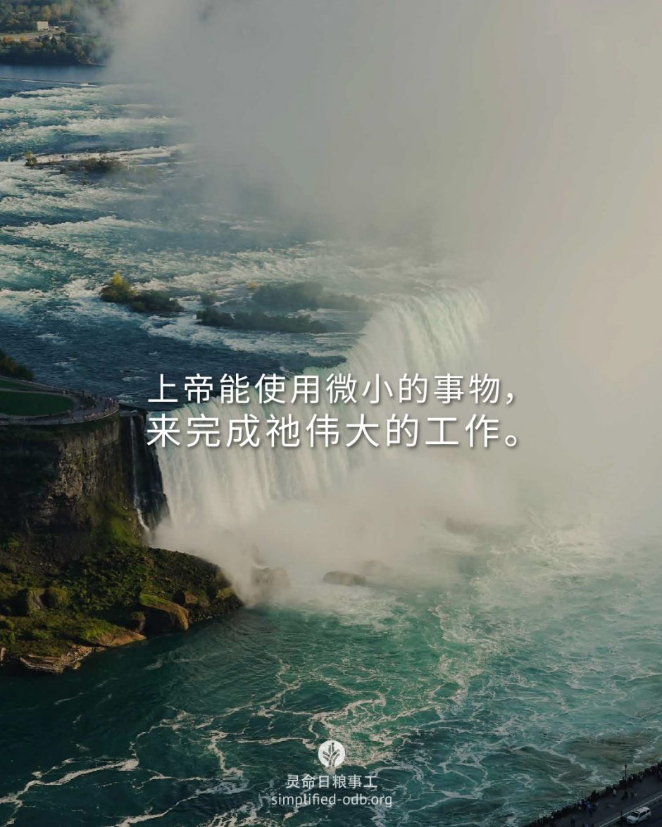 2026-02-06今日图片分享