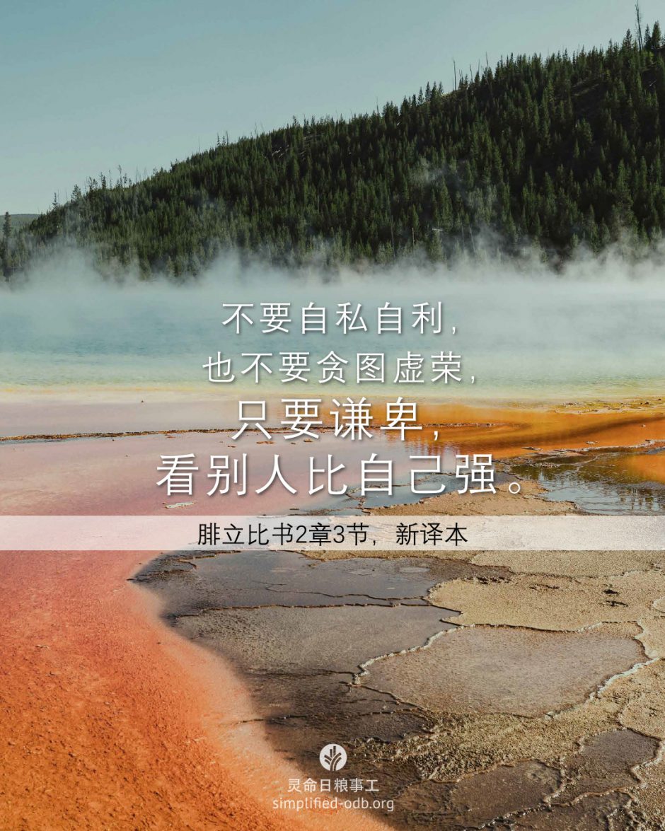 2026-02-07今日图片分享