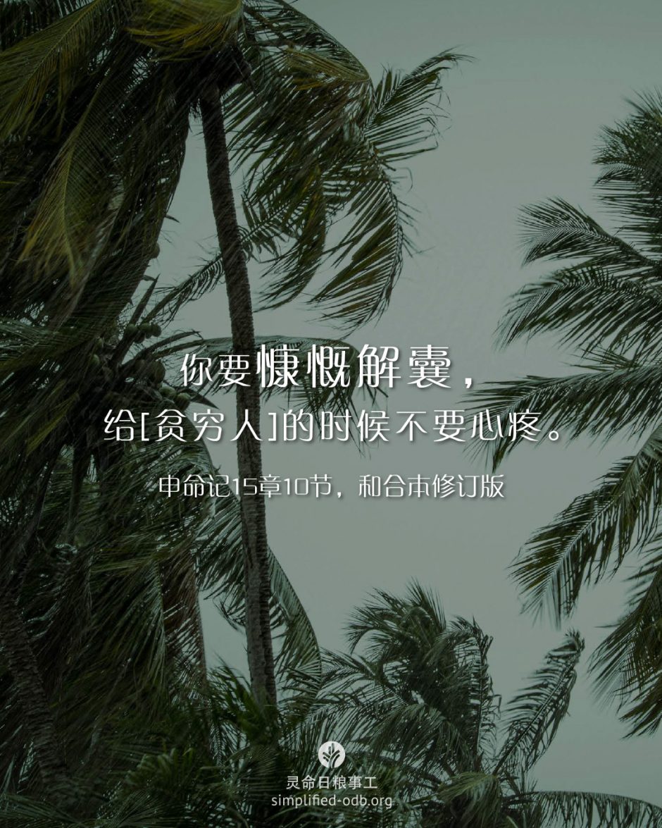 2026-02-08今日图片分享