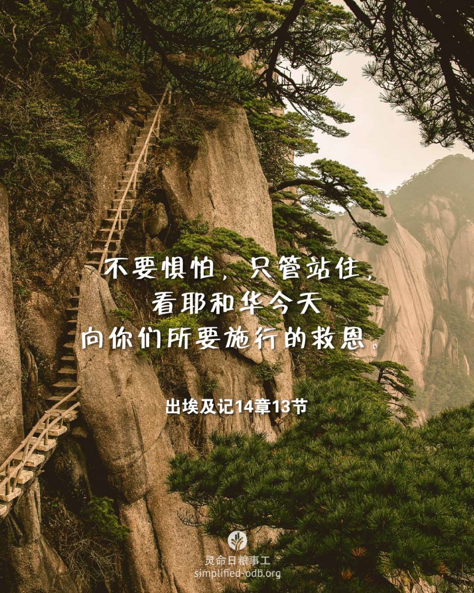 2026-03-31今日图片分享