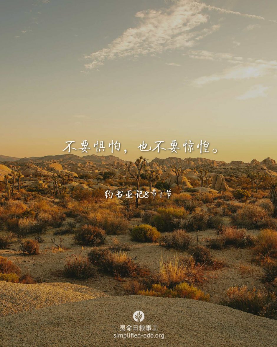 2026-03-24今日图片分享