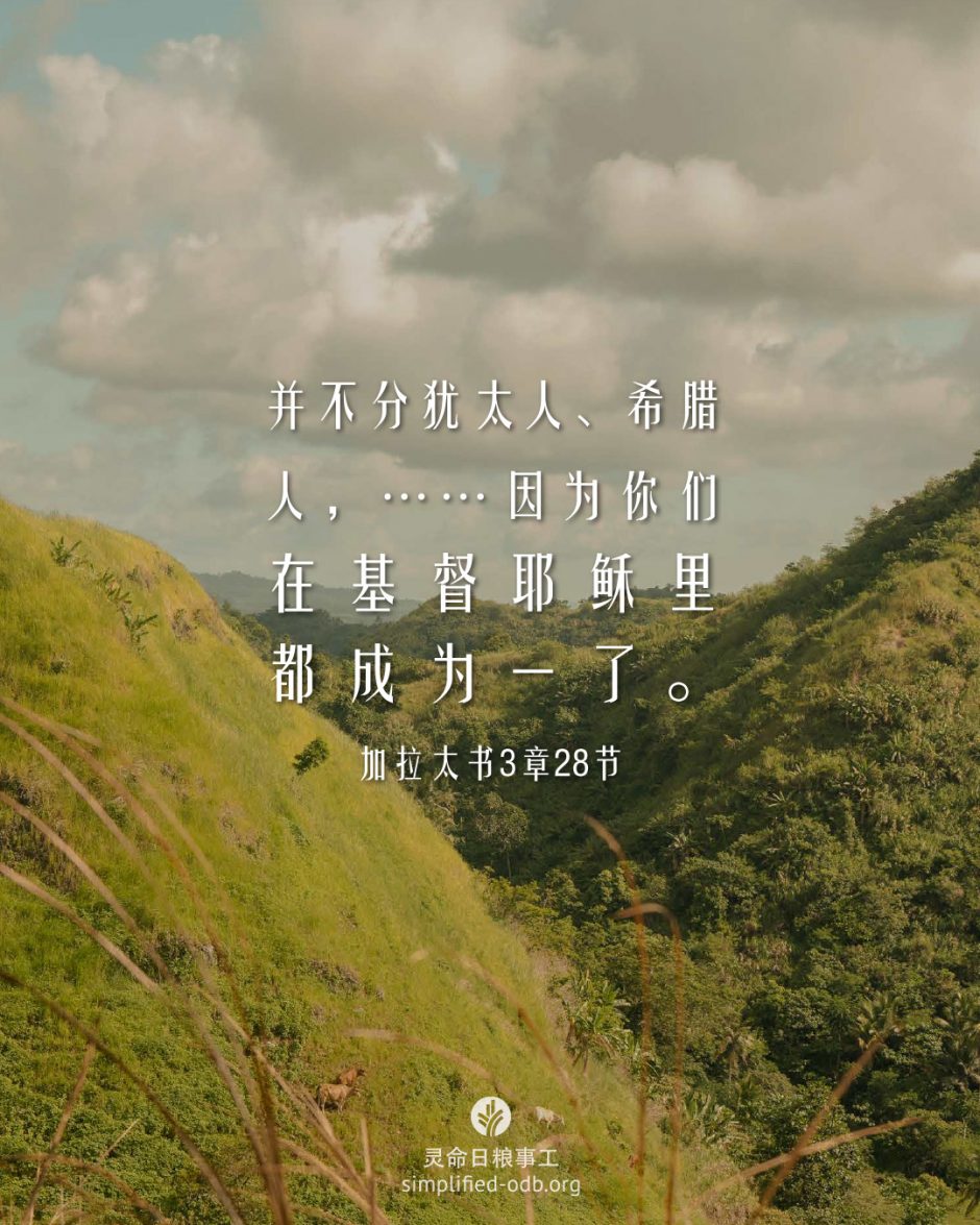 2026-03-25今日图片分享