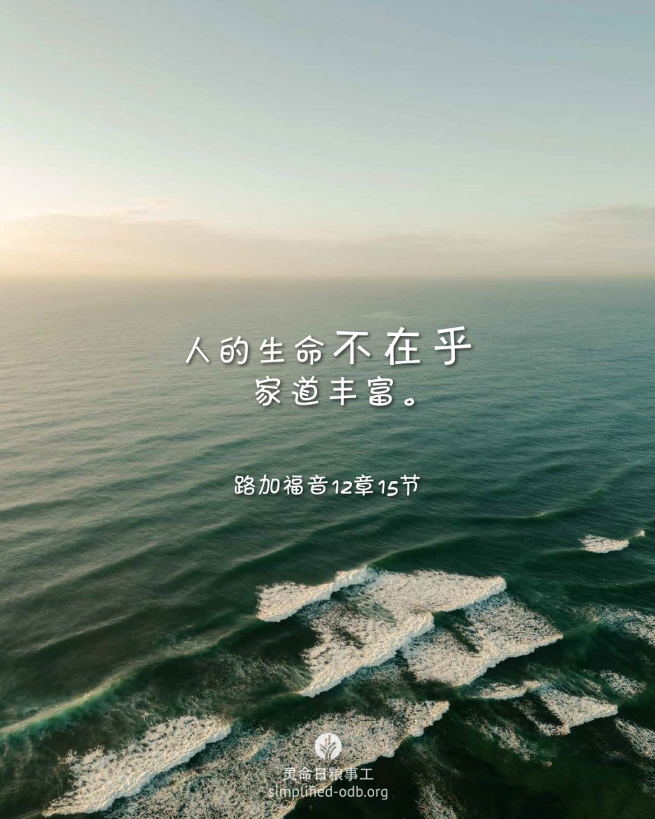 2026-03-26今日图片分享