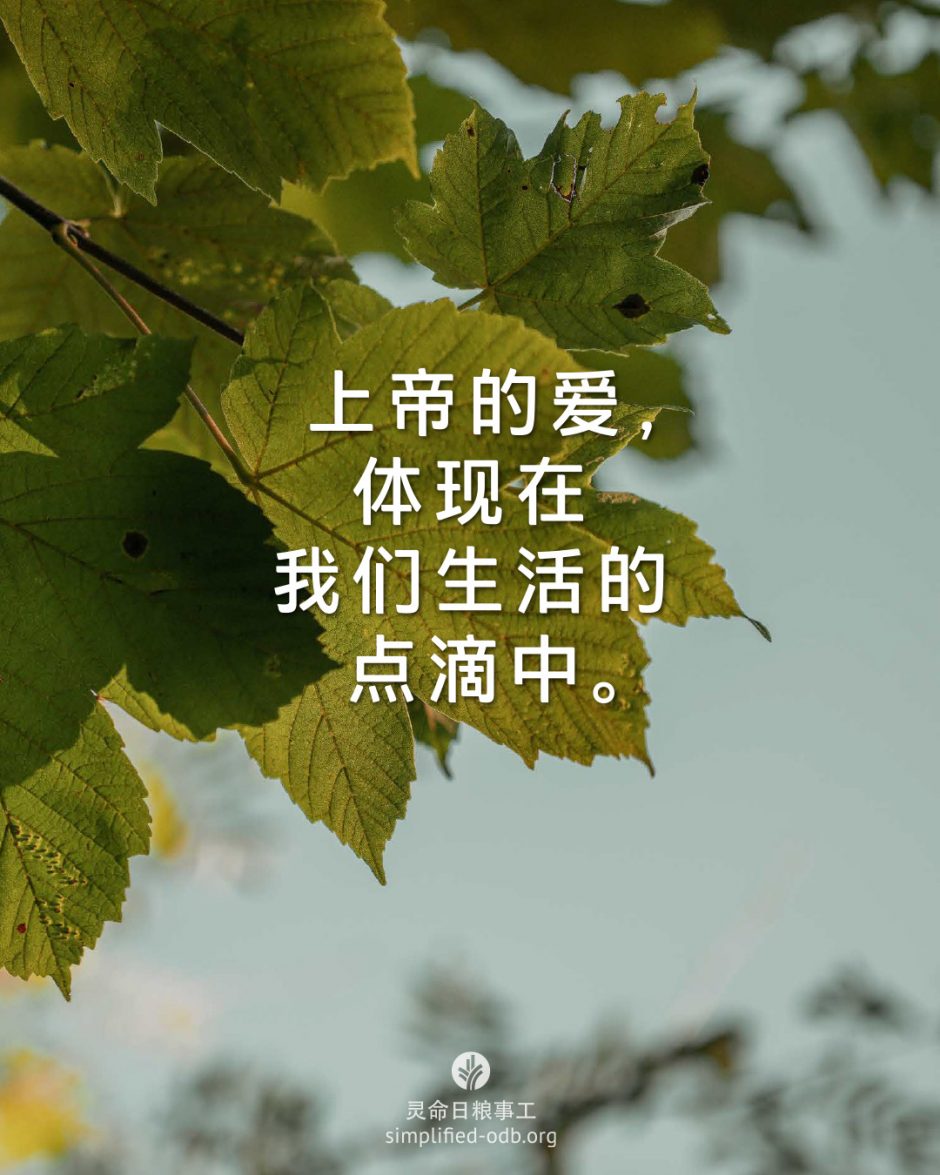 2026-03-27今日图片分享