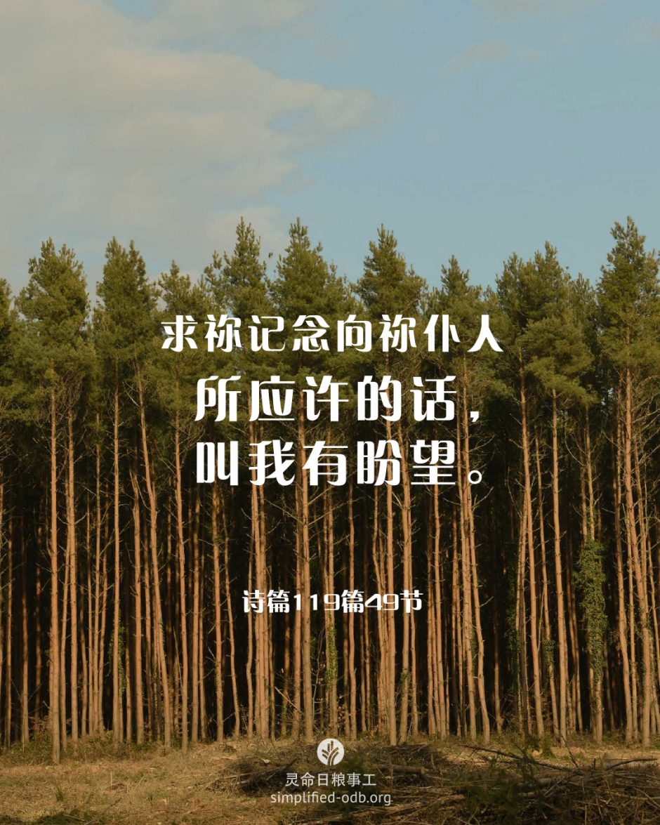 2026-03-28今日图片分享