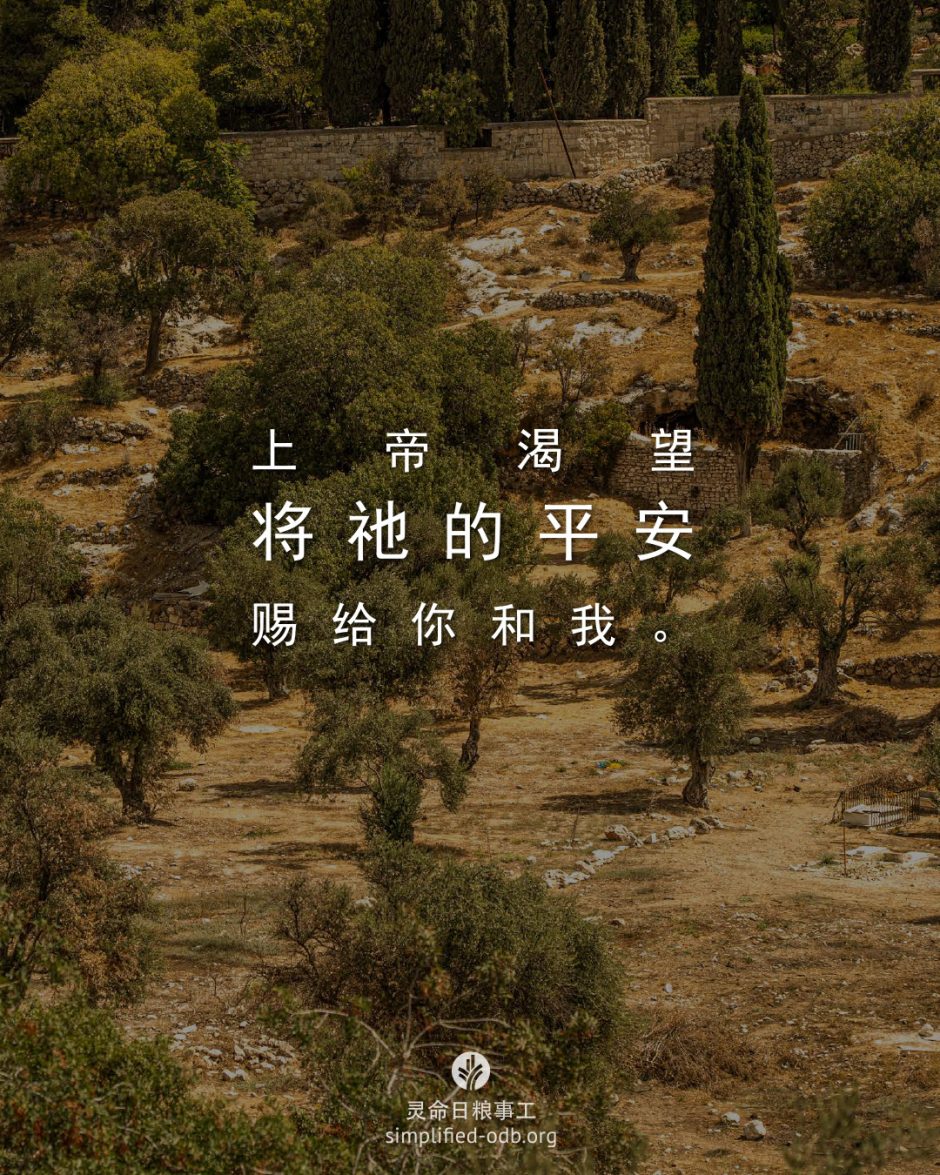 2026-03-29今日图片分享