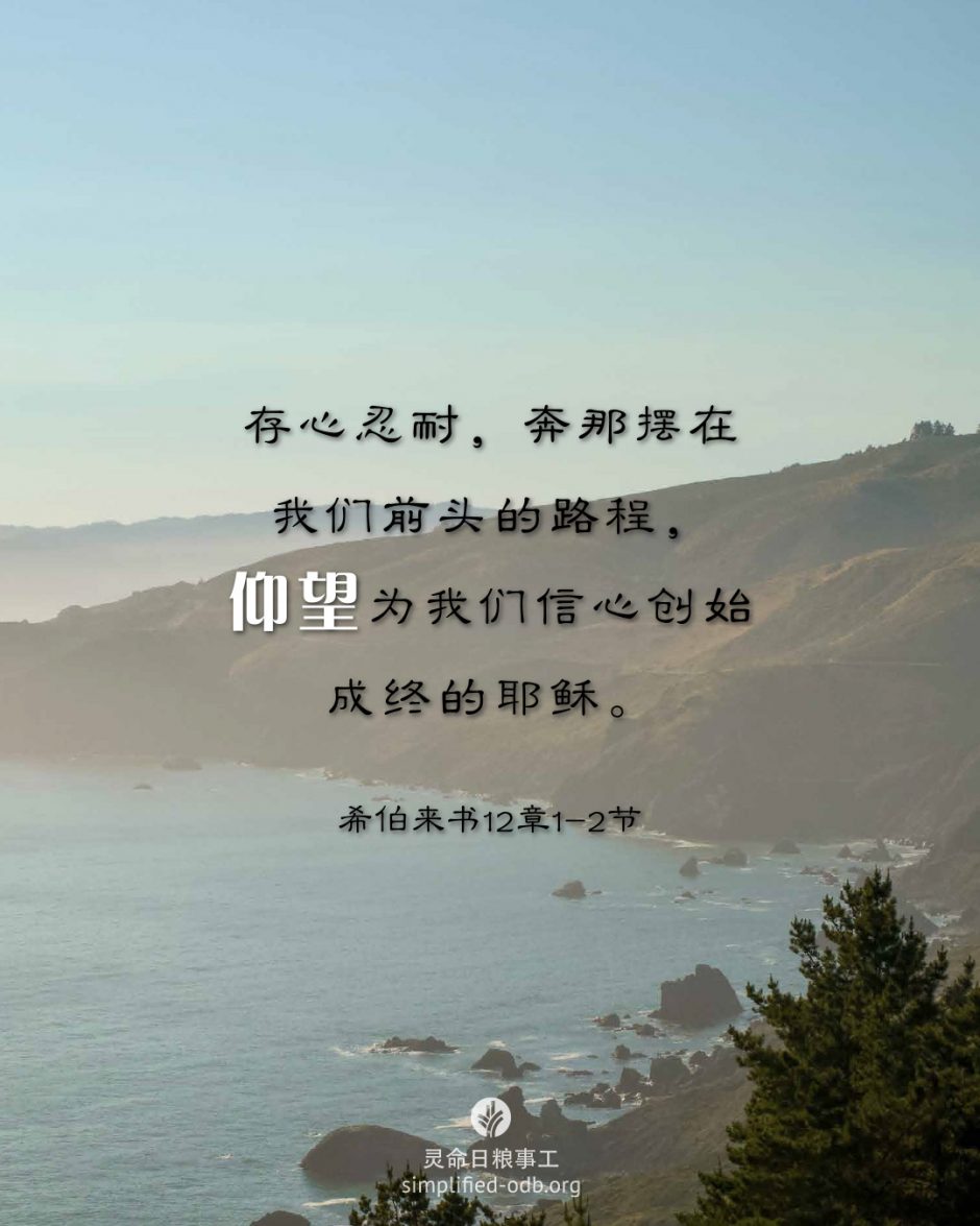 2026-03-30今日图片分享